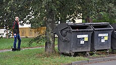 ilustra�ní snímek