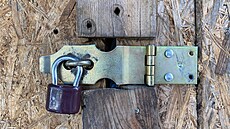 ilustra�ní snímek