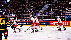 Jan Mandát (úpln vepedu) se ve védsku se svojí formací raduje z gólu Dynama...