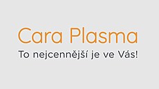 Logo Cara Plasma