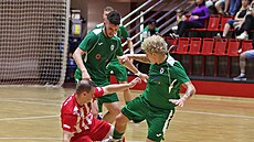 Chomutov (v zeleném) pestílel ve své hale Liberec.