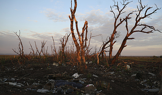 Válkou zdecimovaná krajina u Andrijivky nedaleko Bachmutu (16. záí 2023)