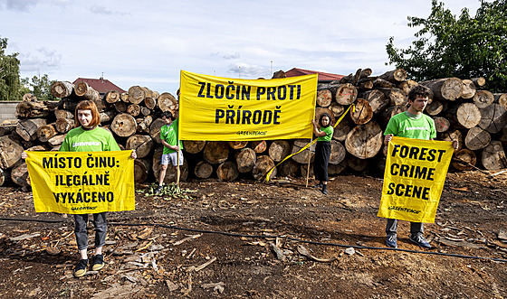 Aktivisté Greenpeace protestovali proti kácení deva u Horního Jietína v...