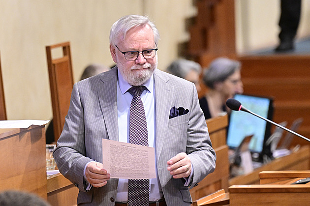 Senát Istanbulskou úmluvu smete, věří jeho místopředseda Jiří Oberfalzer