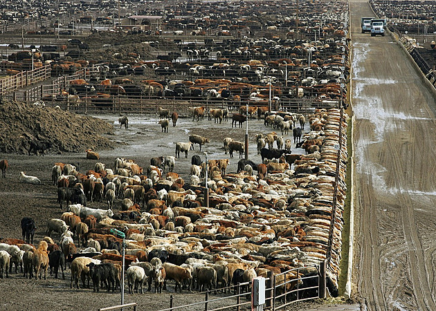 Špinavá tajemství čisté Tesly. Superdobíječky plní baterky i z dieselagregátu