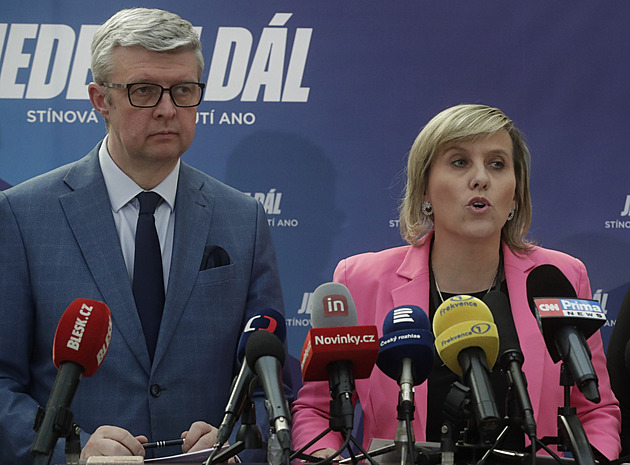 Vlada nemá mandát zmrazit laciným gestem vztahy se Slovenskem, říká ANO