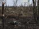 Válkou zdecimovaná krajina u Andrijivky nedaleko Bachmutu (16. záí 2023)