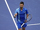 Srbský tenista Novak Djokovi se raduje ze zisku fiftýnu ve finále US Open.