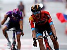 Nizozemský cyklista Wout Poels (Bahrain) vítzí v dvacáté etap Vuelty.