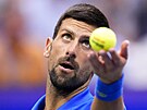 Soustedný Novak Djokovi ve finále US Open proti ruskému tenistovi Daniilu...