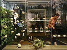 Aranérka muzea Pavla Lajtkepová umisuje do vitríny jedné z pírodovdných...