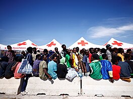 Italský ostrov  Lampedusa se potýká s neekan vysokým potem píchozích...