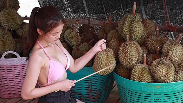 Sli�n� thajsk� prodejkyn� durianu v r��ov�ch bikin�ch se stala internetovou senzac�. (1. kv�tna 2023)