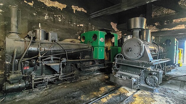Nejvtm lkadlem mladjovskho muzea jsou bezesporu parn lokomotivy. Vlevo je stroj Krauss-Linz 7485 z roku 1920, vpravo Krauss-Linz 1518 z roku 1929. Ob jsou pln funkn.