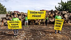 Aktivisté Greenpeace protestovali proti kácení dřeva u Horního Jiřetína v...