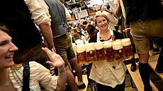 V Mnichov byl zahájen tradiní pivní festival Oktoberfest naraením prvního...