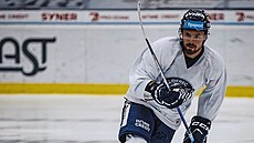 Liberecké hokejisty posílil kanadský útočník Jayce Hawryluk.