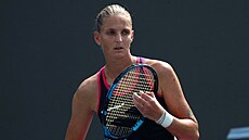 Karolína Plíšková na turnaji v Guadalajaře