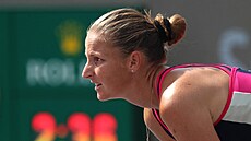 Karolína Plíšková na turnaji v Guadalajaře