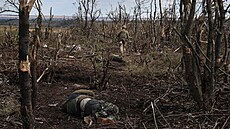 Padlý ruský voják v Doncké oblasti (16. záí 2023)