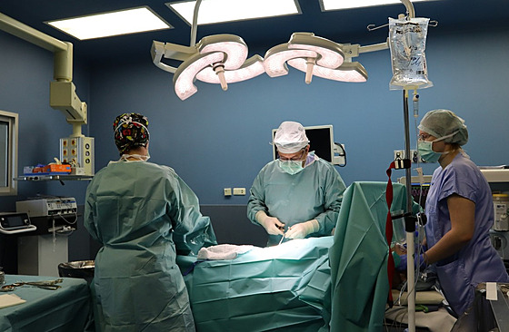 Nemocnice v Hodonín bude po dobu pestavby akutní pacienty posílat do...