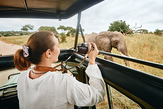 Dovolená v Africe se safari