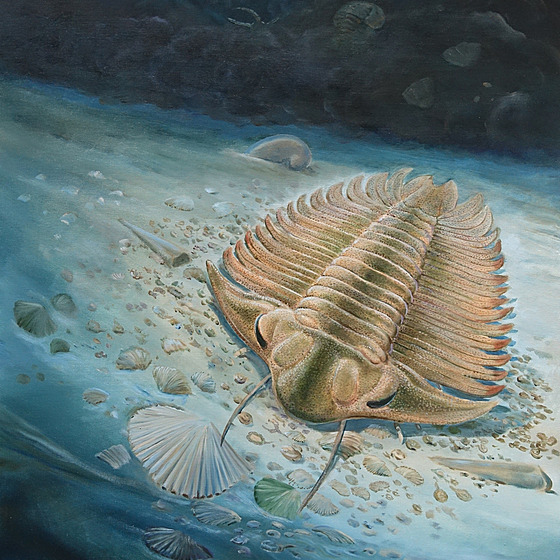 Paleontologové z P�írodov�decké fakulty Univerzity Karlovy (UK) spole�n� se...