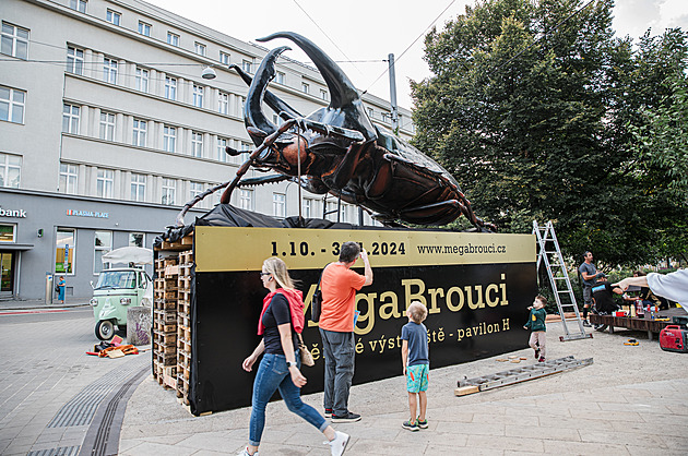 Brno „okupuje“ obří brouk, propracované modely umělci vytvářeli 15 tisíc hodin