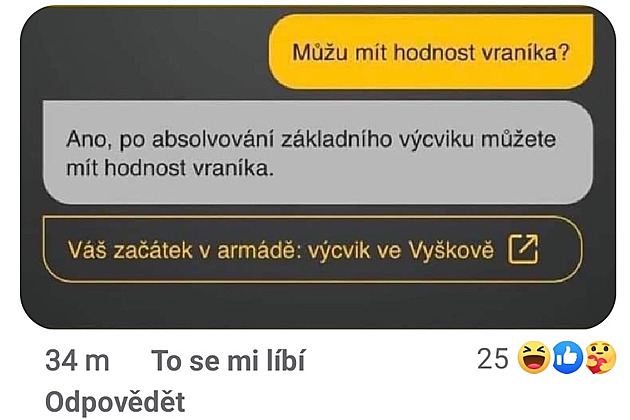 Virtuální nábor armády po týdnu provozu láká na hodnost vraníka. Chyby uživatele baví