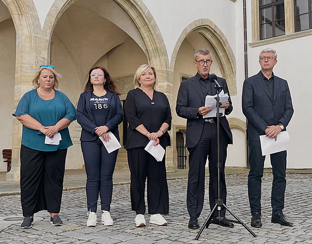 V tuto chvíli na ně nemáme, kritizuje stínová vláda zvažovaný nákup stíhaček