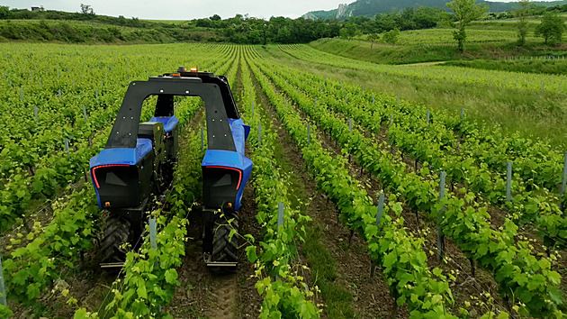 Pomocník vinaře, co maká za polovic, bez přestávek. Robot ovládaný telefonem