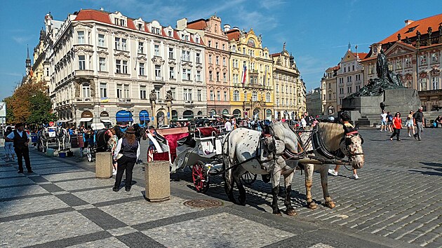 <p>Koně na Staroměstském náměstí.</p>