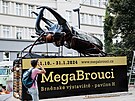 Obí model brouka v parku na Moravském námstí v centru Brna láká na novou...