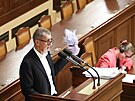 Andrej Babi (ANO) na schzi Poslanecké snmovny pi projednávání...