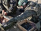 Rekruti ruské armády pi cviení v okupované ukrajinské Luhanské oblasti (13....