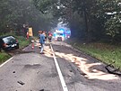 Nehoda osobn�ho a n�kladn�ho vozu ve Zl�n�-Malenovic�ch m�la tragick� n�sledky....