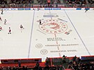 Pohled na led hokejového Tince, který na pomry extraligy kryje minimum reklam.