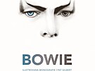 Obálka knihy Bowie: Ilustrovaná monografie