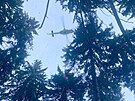 Záchrana paraglidisty ze strom poblí Neichova na Touimsku.