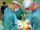 Bhem tyhodinové operace vymnili lékai jihlavské nemocnice pacientce po...