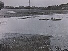 Podh�n�n� vody na louky v Kr��n�, v pozad� ml�n �ern�ch.