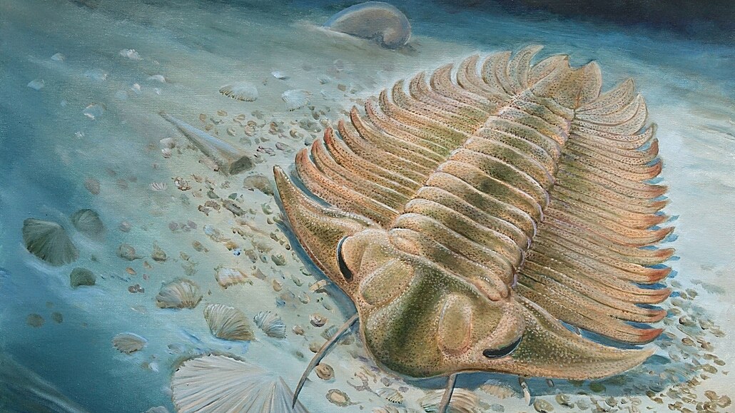 Paleontologové z P�írodov�decké fakulty Univerzity Karlovy (UK) spole�n� se...