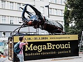 Obří model brouka v parku na Moravském náměstí v centru Brna láká na novou...