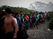 Migranti míří přes pás Darién mezi Kolumbií a Panamou v naději, že se dostanou...