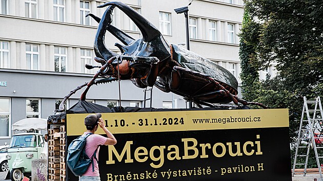 Ob model brouka v parku na Moravskm nmst v centru Brna lk na novou vstavu, kterou bude od zatku jna hostit pavilon H na vstaviti. Lid uvid pes 20 zvtench model z hmyz e.