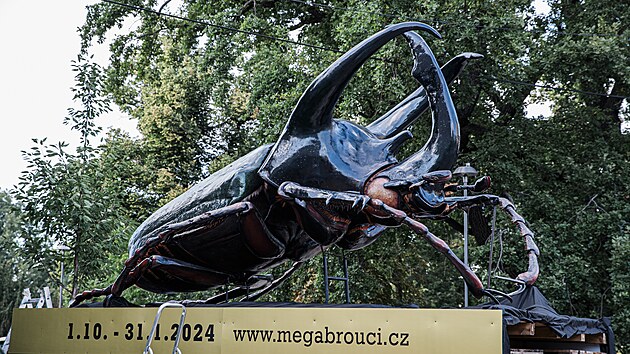 Ob model brouka v parku na Moravskm nmst v centru Brna lk na novou vstavu, kterou bude od zatku jna hostit pavilon H na vstaviti. Lid uvid pes 20 zvtench model z hmyz e.