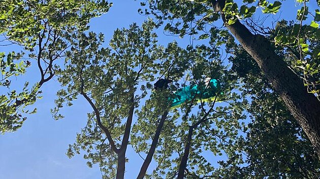 Dramatičtější byla záchrana druhého paraglidisty, který se snesl do koruny vysokého stromu a uvázl ve výšce dvacet metrů.
