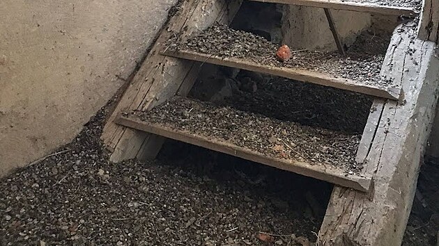 Spolek nad�enc� si vzal do p��e ch�traj�c� kostel v Bo�islavi, barokn�mu chr�mu chce vr�tit p�vodn� kr�su a ud�lat z n�j m�sto pro spole�ensk� d�n�.