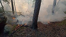 U Jetřichov v Českém Švýcarsku hoří les. (27. září 2023)