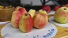 Jablečná slavnost se již po dvacáté konala v Hostětíně na Uherskohradišťsku....